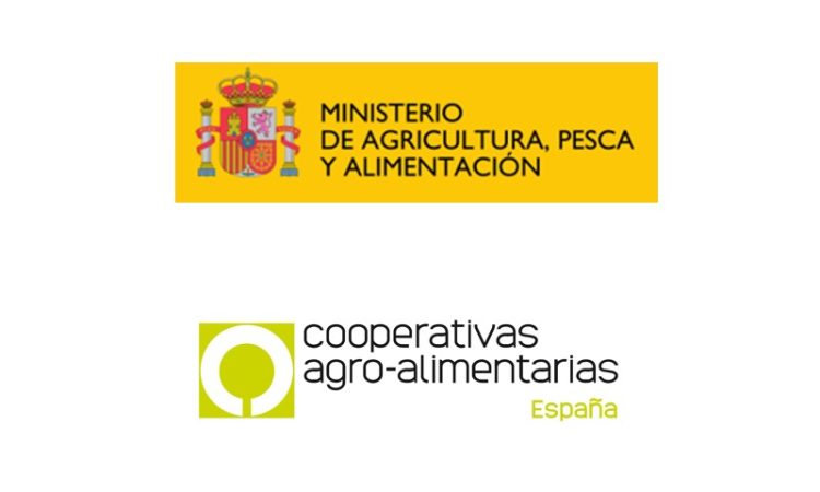 Programa de Actuaciones 2024 en materia de Asistencia Técnica