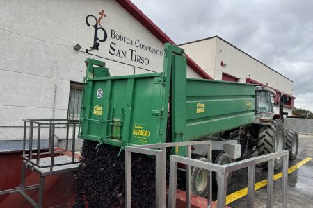 Finalizada la vendimia en Rioja Alavesa: una cosecha marcada por la rapidez y los desafíos climáticos