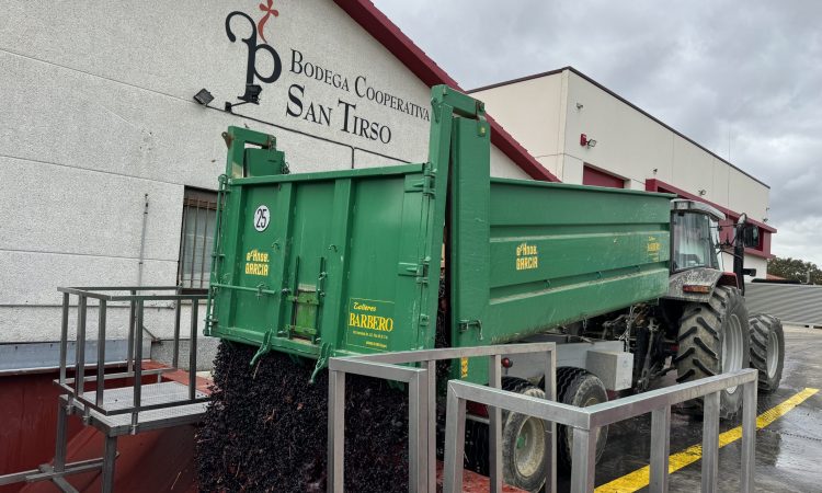 Finalizada la vendimia en Rioja Alavesa: una cosecha marcada por la rapidez y los desafíos climáticos